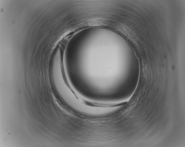 X0000078830530200611271259