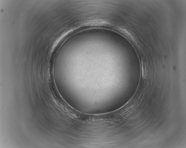 X0000078830531200611271259