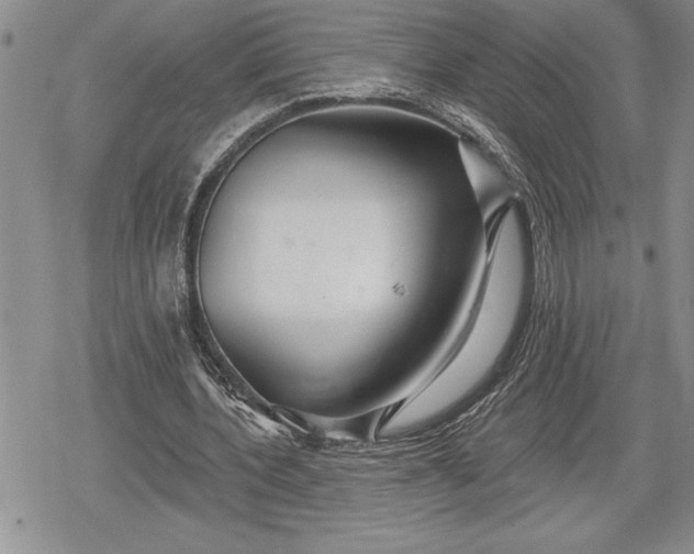 X0000078830532200611271259