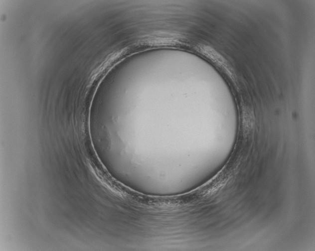 X0000078830533200611271259