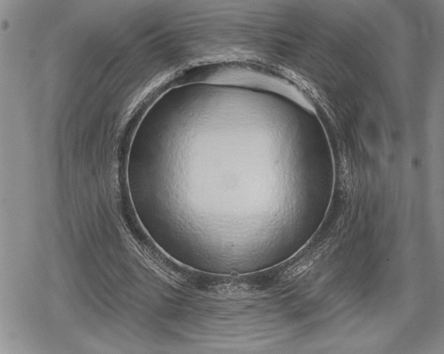 X0000078830535200611271259