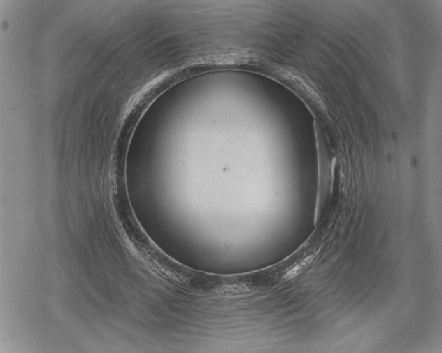 X0000078830536200611271259