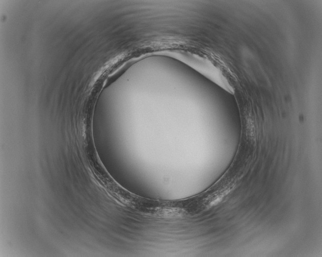 X0000078830539200611271259