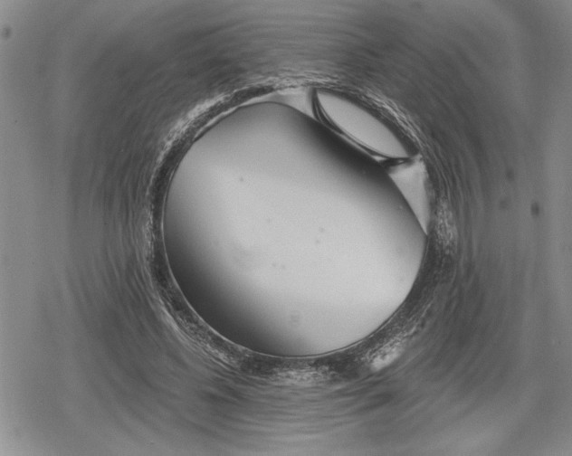 X0000078830540200611271259