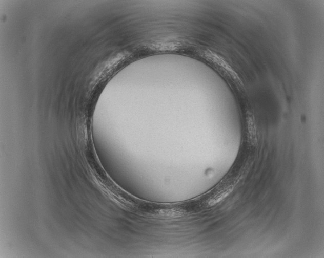 X0000078830541200611271259