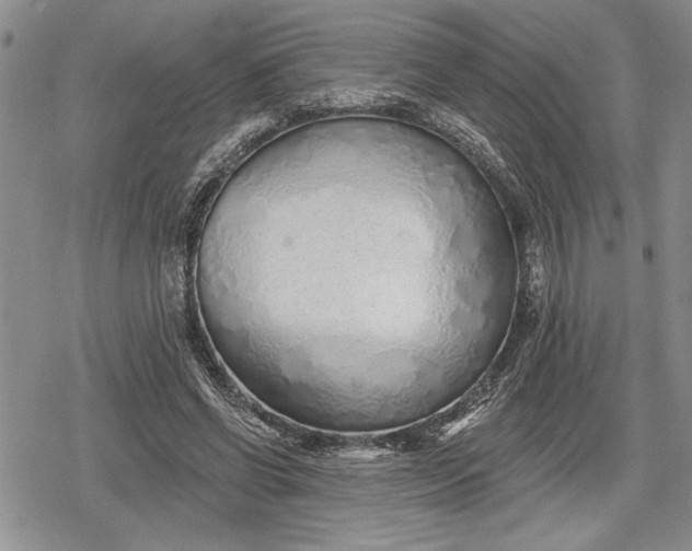 X0000078830542200611271259