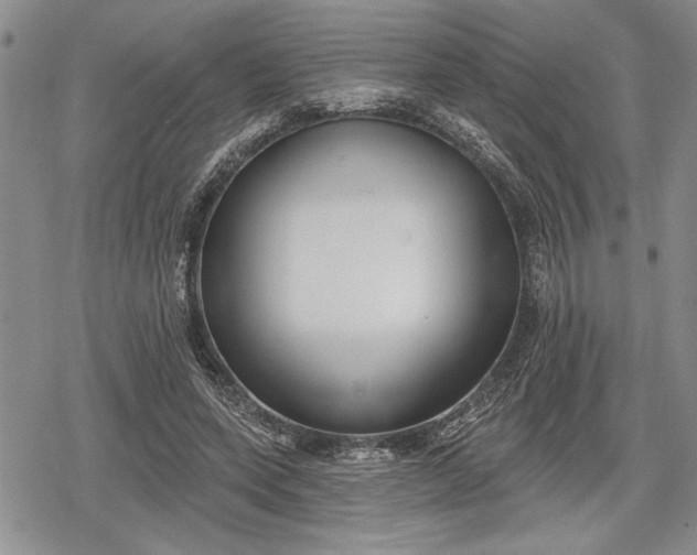 X0000078830543200611271259