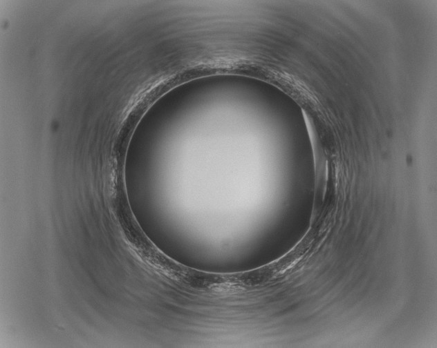 X0000078830544200611271259