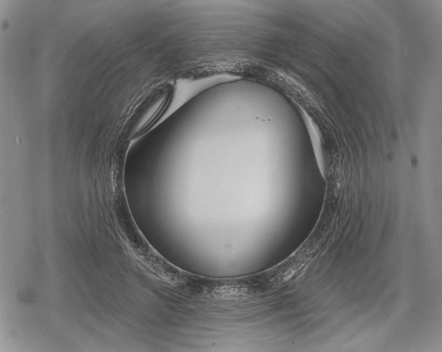 X0000078830546200611271259