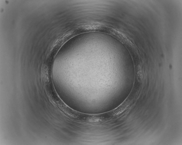 X0000078830547200611271259