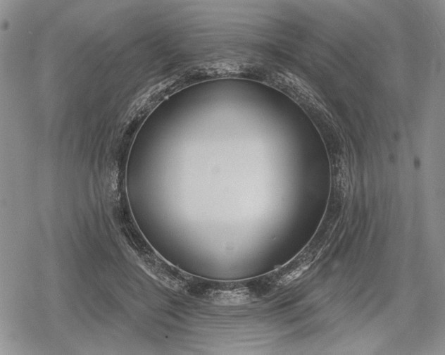 X0000078830548200611271259