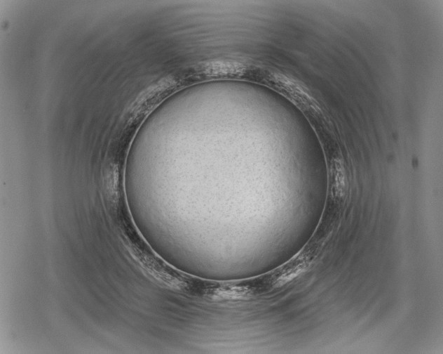 X0000078830550200611271259