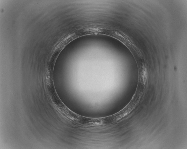 X0000078830552200611271259