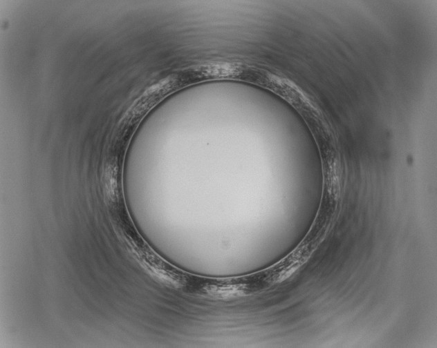 X0000078830553200611271259