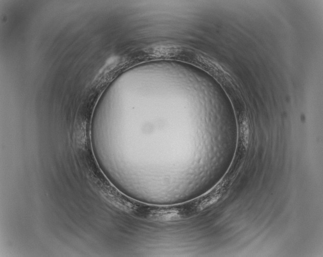 X0000078830554200611271259