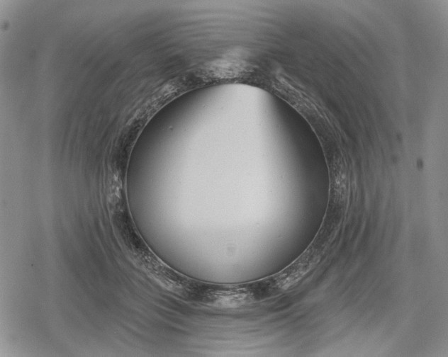 X0000078830555200611271300