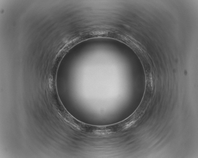 X0000078830556200611271300