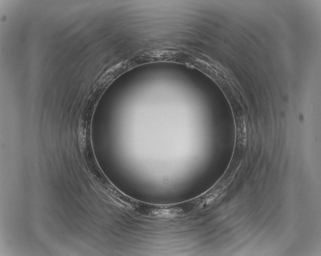 X0000078830558200611271300