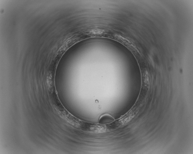 X0000078830559200611271300