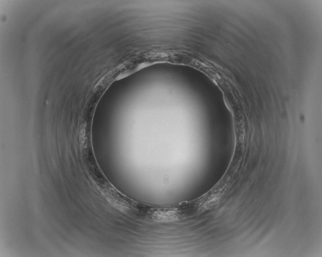 X0000078830560200611271300