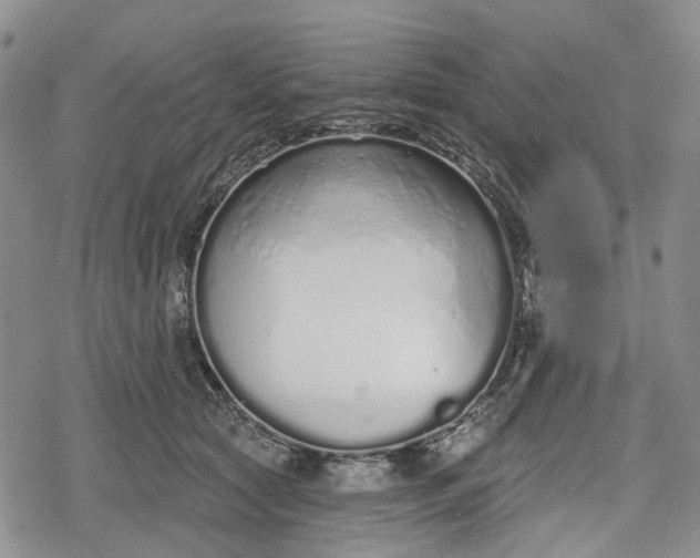 X0000078830561200611271300