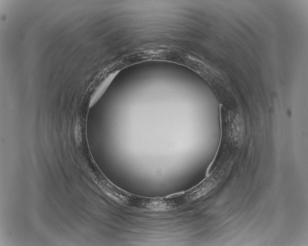 X0000078830562200611271300