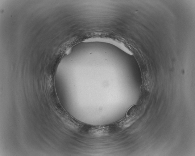 X0000078830563200611271300