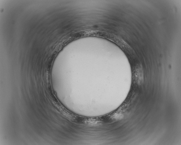 X0000078830565200611271300