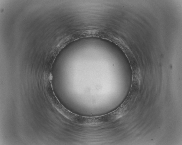 X0000078830568200611271300