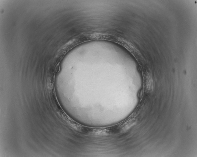 X0000078830569200611271300