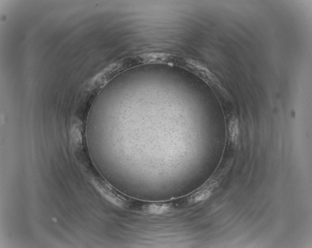 X0000078830570200611271300