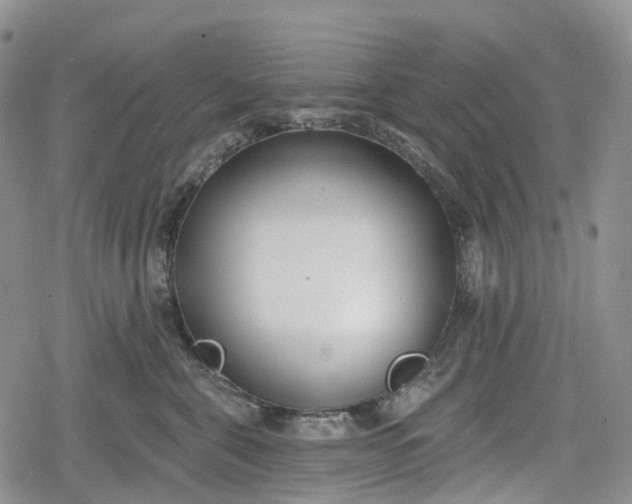 X0000078830571200611271300