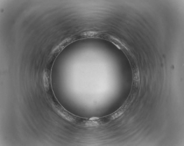 X0000078830572200611271300