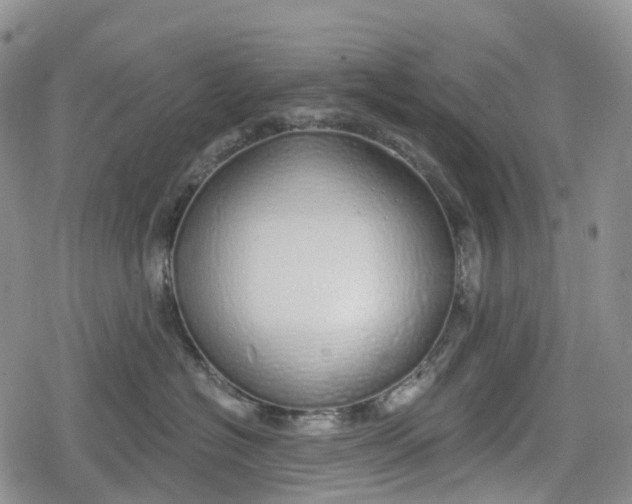 X0000078830574200611271300