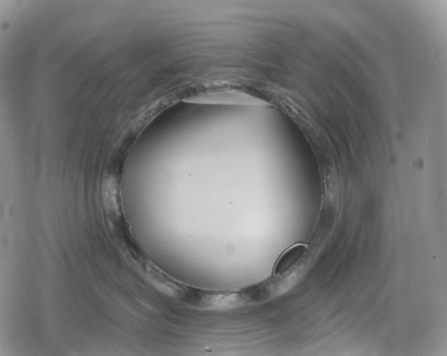 X0000078830575200611271300