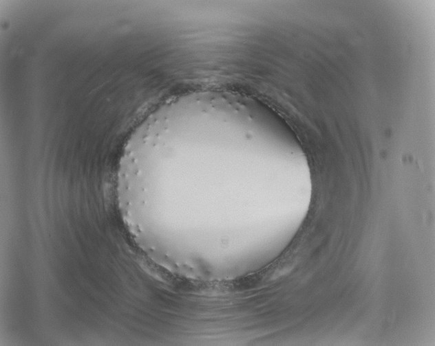 X0000078830576200611271300