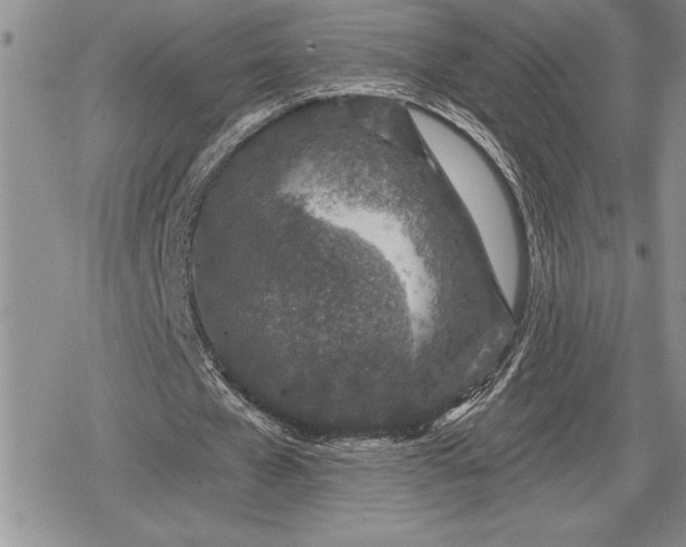 X0000078830577200611271259