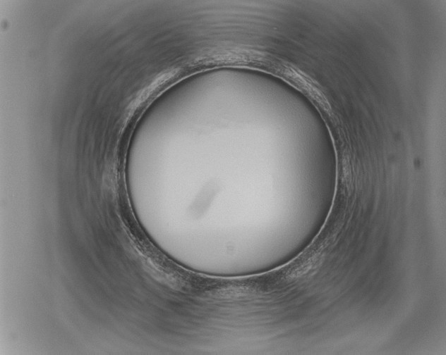 X0000078830578200611271259