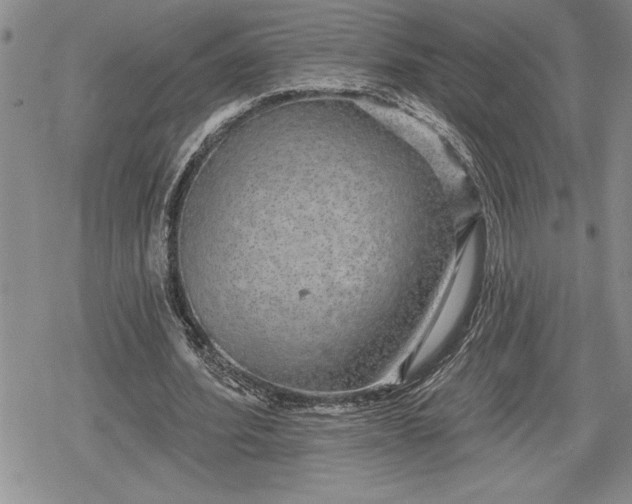 X0000078830580200611271259