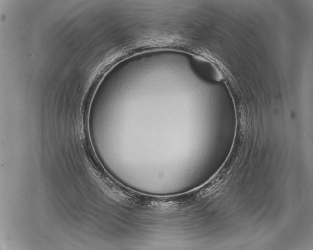 X0000078830582200611271259