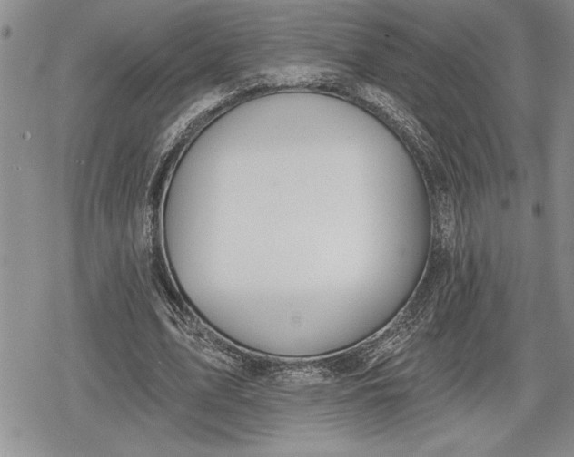 X0000078830583200611271259