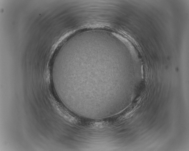 X0000078830584200611271259