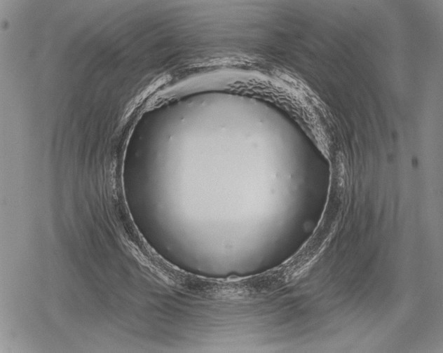 X0000078830585200611271259