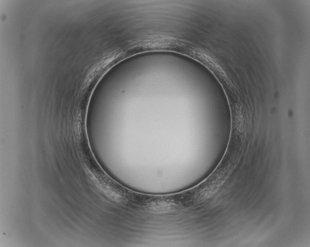 X0000078830586200611271259