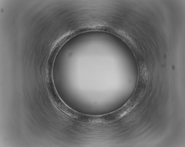 X0000078830587200611271259