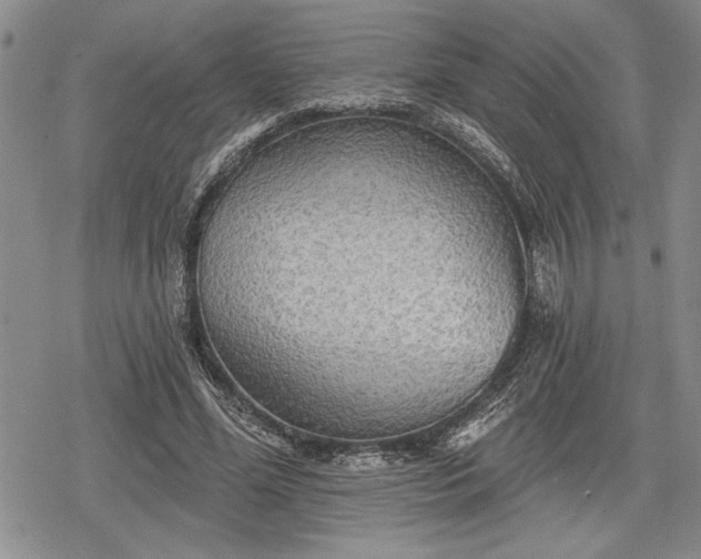 X0000078830588200611271259