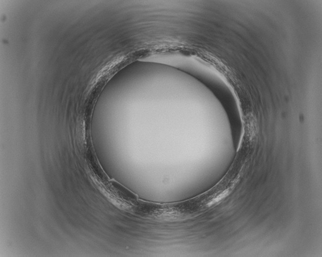 X0000078830589200611271259