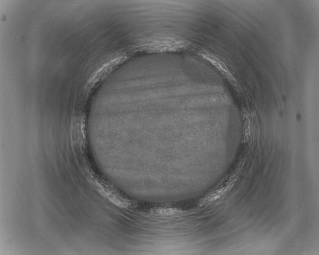 X0000078830590200611271259