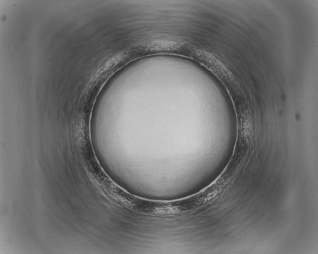 X0000078830591200611271259