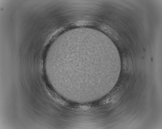 X0000078830592200611271259